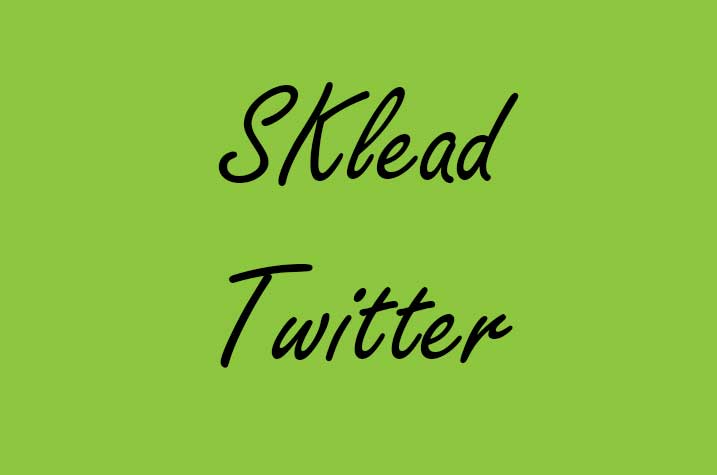  SKlead Twitter Advertising Agency 